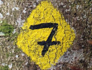 Seven Pieces in Classical Style - Ensemble