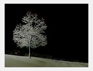 Silent Night - Blasorchester