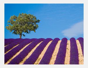 Tableaux de Provence - Blasorchester