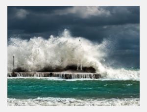 The Coast - Ensemble