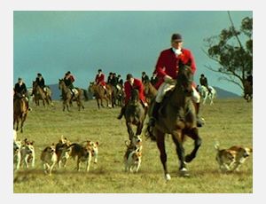 The Hunt - Fanfare