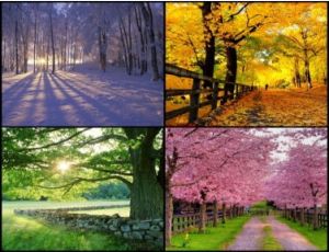 The Seasons - Blasorchester