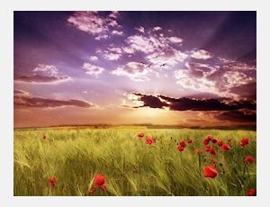 To a Beautiful Day - Fanfare