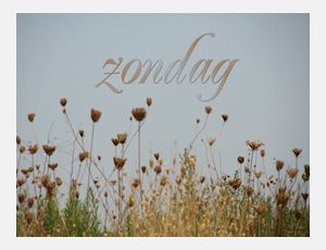 Variations on a French Folk Song - Ensemble