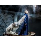 Introduction - 3rd Act Lohengrin - Fanfare