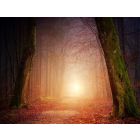 Of Fear and Quiet Hope - Blasorchester