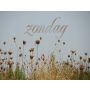 Variations on a French Folk Song - Ensemble