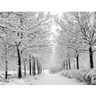 In the Bleak Midwinter - Blasorchester