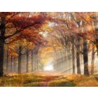 Paysage Melancolique - Fanfare